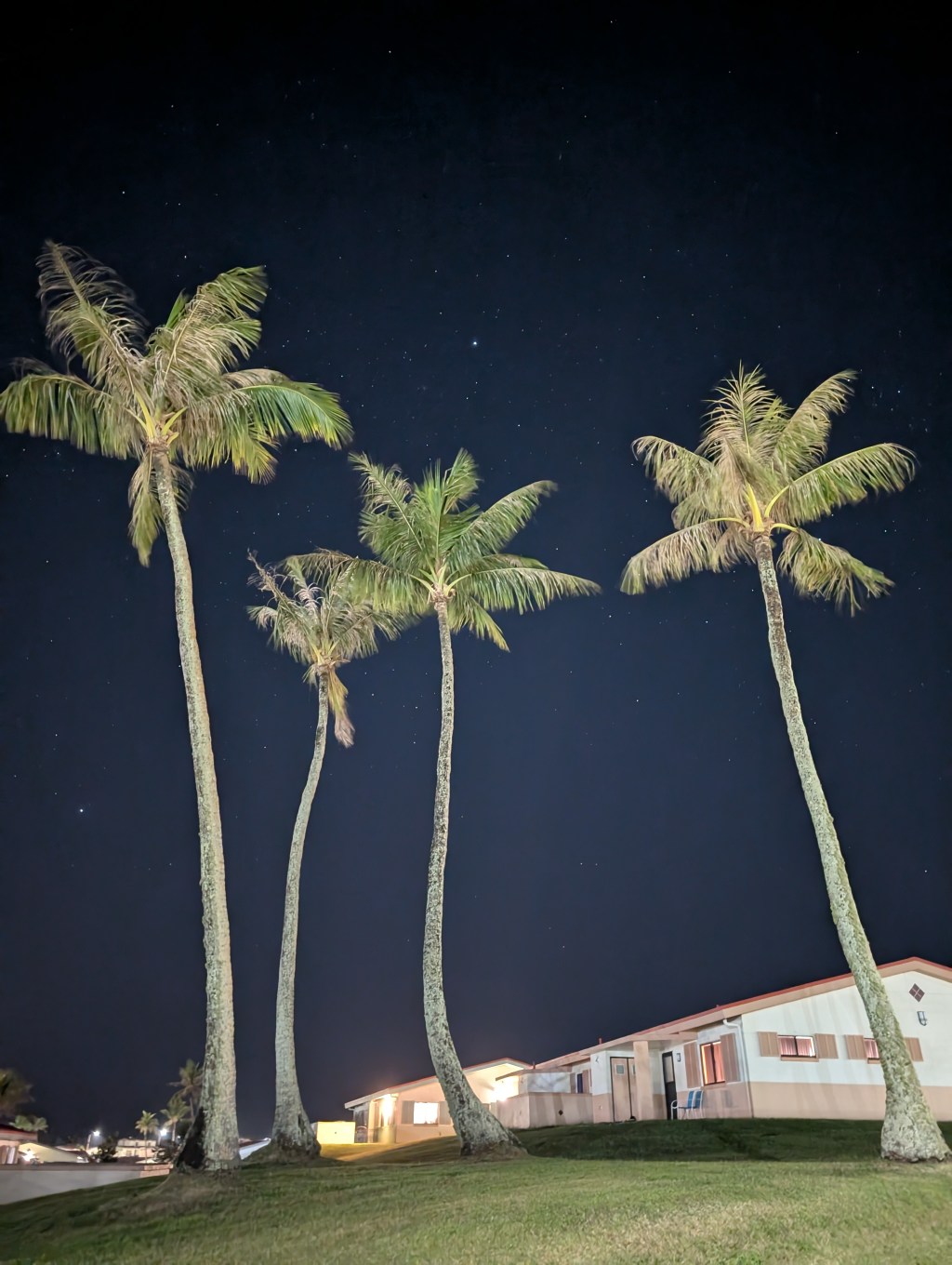 Lasting Hope and Longer&nbsp;Nights